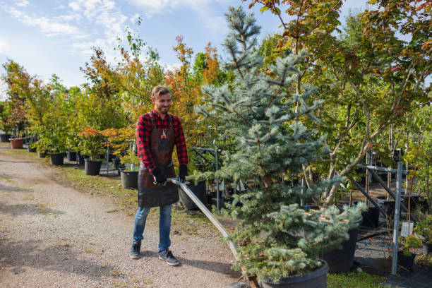 Best Tree Care Services  in Pontiac, MI